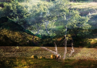 island_4_b